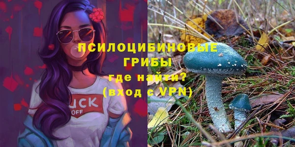 спайс Заводоуковск