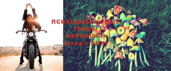 спайс Заводоуковск